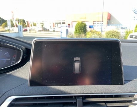 3008 1.6 BLUEHDI 120CH ACTIVE BUSINESS S&S