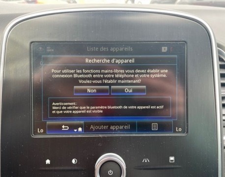 SCENIC IV 1.7 BLUE DCI 120CH BUSINESS