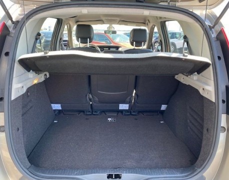 SCENIC III 1.5 DCI 110CH FAP EXCEPTION